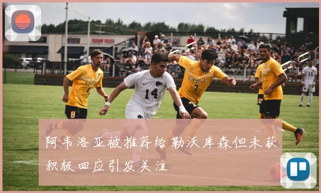 阿韦洛亚被推荐给勒沃库森但未获积极回应引发关注